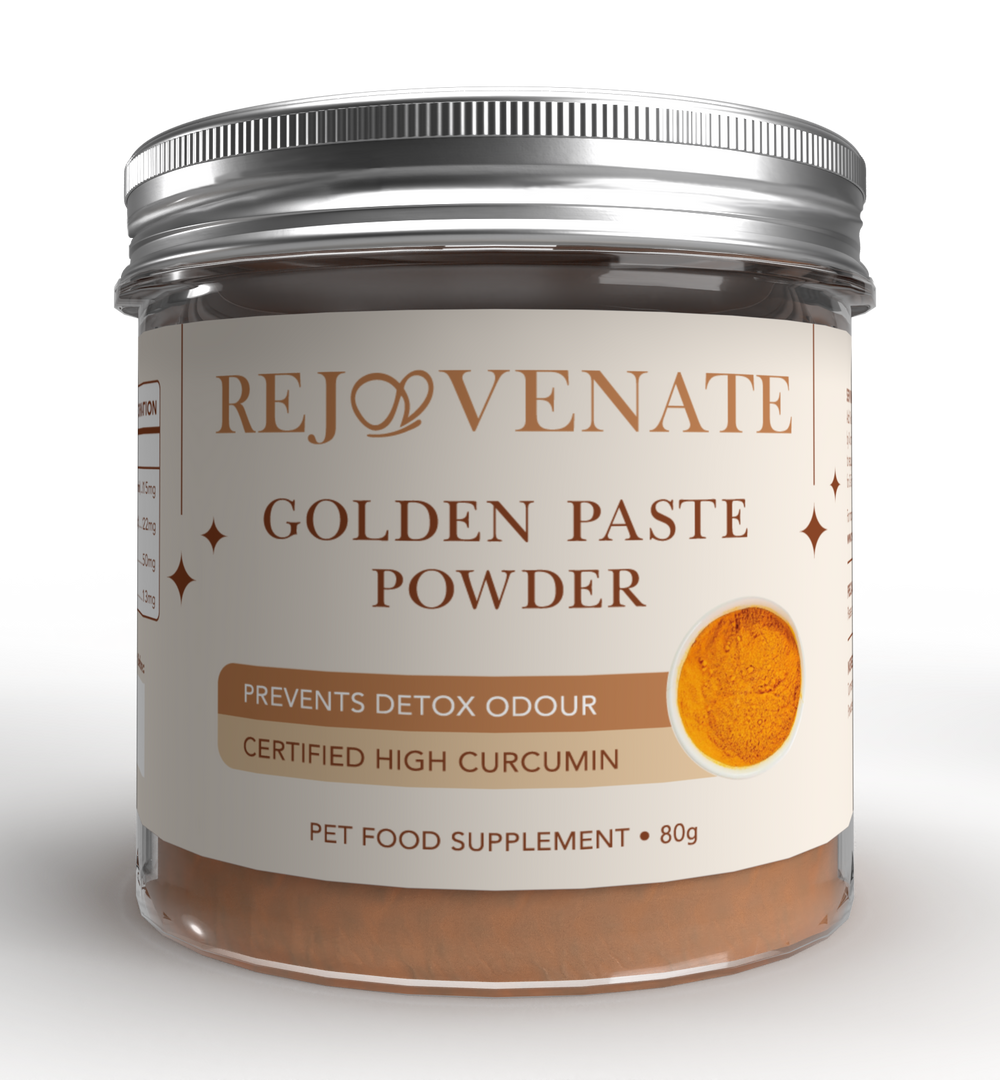 Golden Paste POWDER for Pets - (4.0% Curcumin) *Back in Stock*